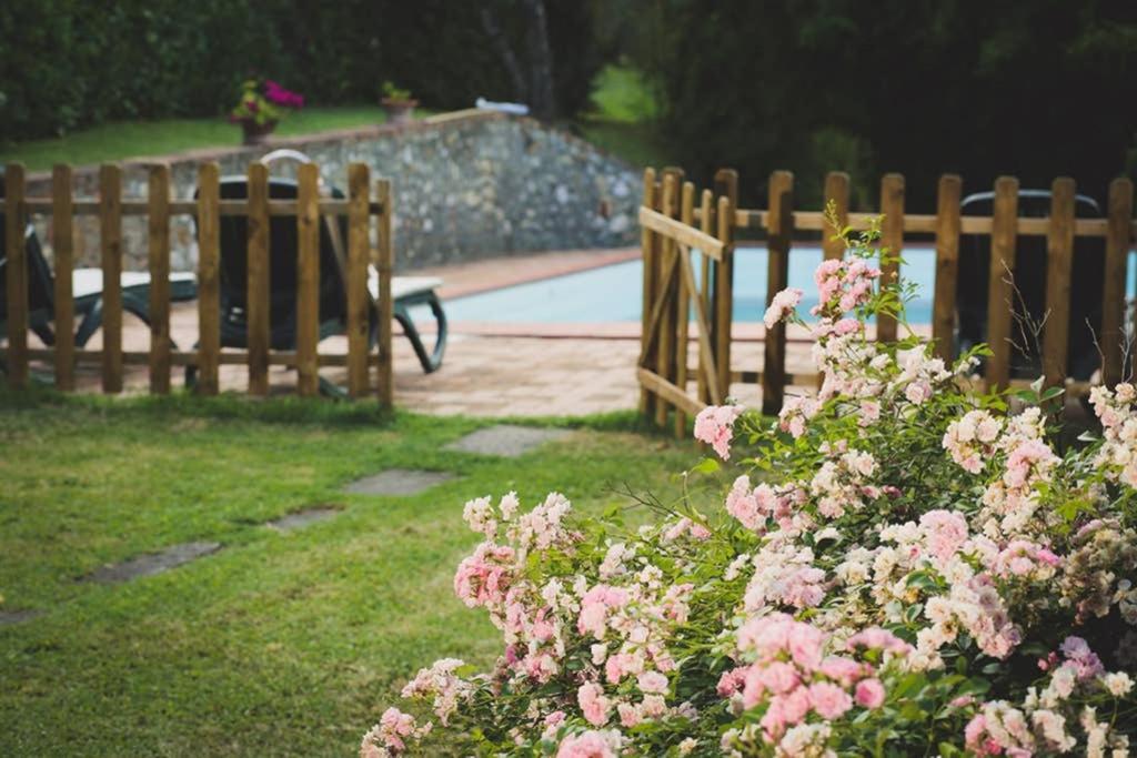 Villa Capannina Vico d'Arbia 外观 照片