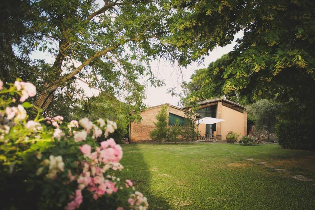 Villa Capannina Vico d'Arbia 外观 照片