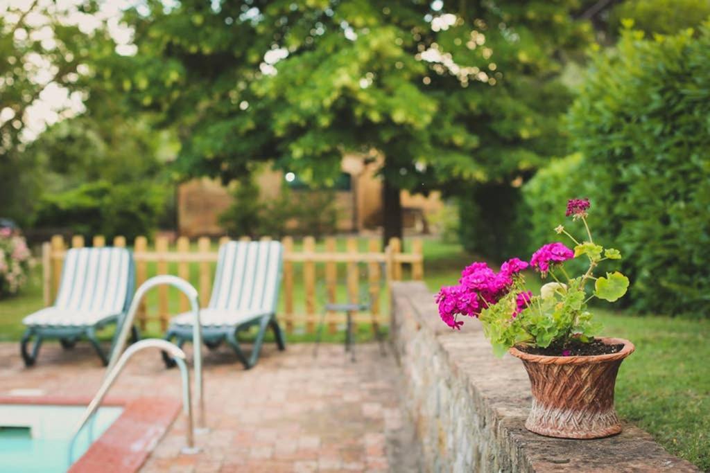 Villa Capannina Vico d'Arbia 外观 照片